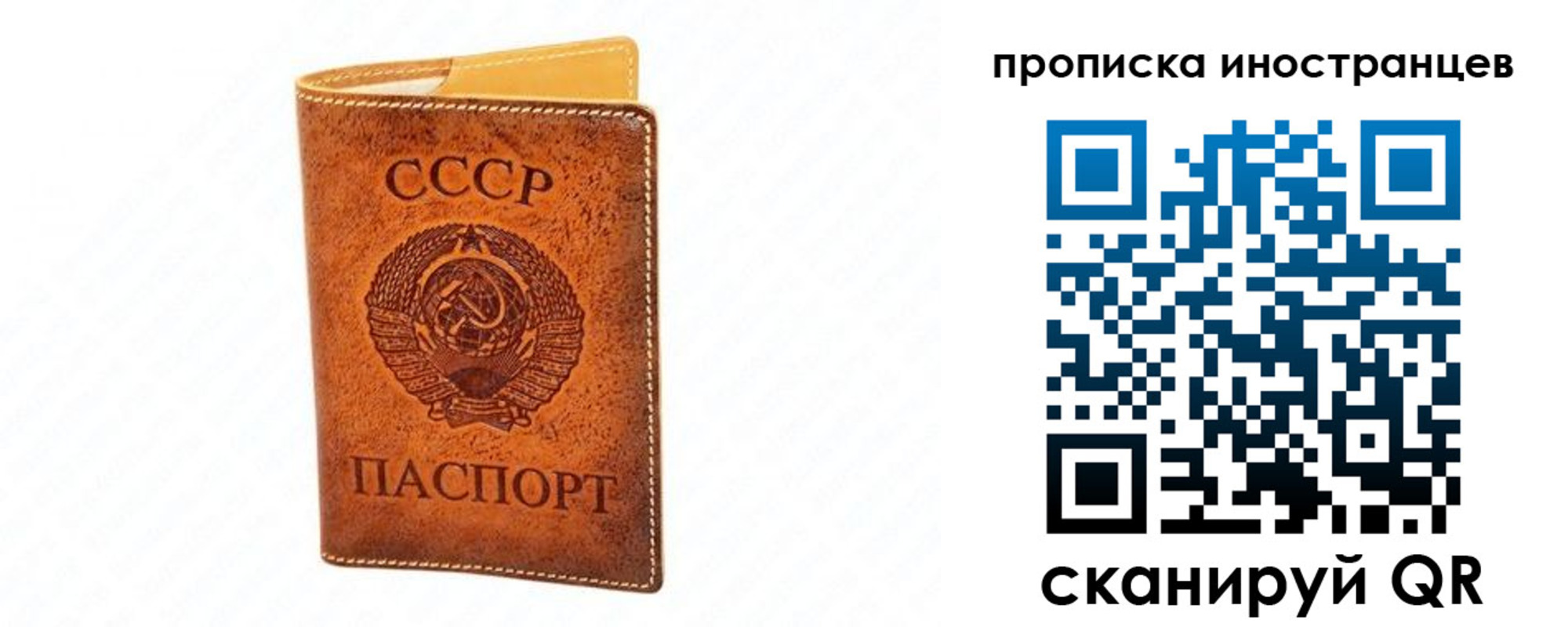 прописка для школы в Красноперекопске